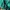 Lolita Coquette Maxi dress Wanita green photo 5