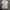 Burberry Y2K Lolita Shirt Wanita tan photo 3