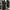 Grunge studded dress abu Colorbox sleeveless fit body photo 3