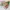 Komik Naruto 11-20 Set photo 4