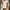 H&M Vintage Bodycon dress Wanita cream photo 1