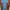 Dress Biru photo 2