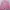 Jaket Cosplay Bocchi The Rock/ jaket olahraga pink photo 2