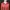 Salmon Jacket  photo 3
