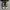 Converse x CDG Low Black White photo 4