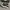 Converse x CDG Low Black White photo 2
