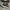 Converse x CDG Low Black White photo 1