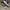 Sepatu New Balance photo 2