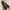 FLATSHOES BROWN photo 3