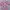 MLB pink bordir photo 1
