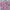 MLB Pink Bordir