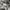 Burberry London Small Logo Novacheck photo 7