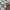 Burberry London Small Logo Novacheck photo 6
