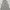 Inner Soft Knitted Turtle Neck