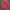 Emo Futurist Parka Pria red photo 2