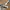 Adidas MC-X1 Could Originals White photo 1