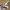Adidas MC-X1 Could Originals White