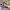 Adidas MC-X1 Could Originals White photo 3