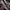 Converse Low One Star RED ACADEMY 39 photo 3