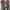 Converse One Star RED ACADEMY 39 photo 5