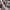Converse Low One Star RED ACADEMY 39 photo 2