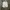 Levi's Y2K Kids white photo 3