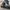 Dickies Velcro Black Casual Size 39 Rare Original photo 1