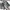 Converse Low Leather Slim Grey 39 photo 6