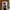 jacket jeans dogman photo 10