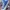 Converse CT Hi Canvas JDM COBALT BLUE 37 photo 3