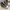 Converse CT Hi Canvas JIMI HENDRIX 39|5 photo 1