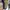 Converse CT Hi Canvas JIMI HENDRIX 39|5 photo 3