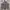 8Hour Union Joe McCOY&CO Work Shirt lot 951 photo 1