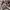8Hour Union Joe McCOY&CO Work Shirt lot 951 photo 4