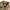 Usn clasp deck jacket japan  us navy  photo 3