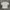 Kaos Fila  photo 2