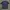 Kaos Oakley photo 1