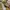 Converse CT Hi YELLOW JAPMAR 40 photo 1