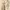 A KOREAN ATASAN BAJU DRESS KAWAI OUTER CUTE LONG PREMIUM IMP photo 1