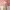 A KOREAN ATASAN BAJU DRESS KAWAI OUTER CUTE LONG PREMIUM IMP photo 5