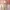 A KOREAN ATASAN BAJU DRESS KAWAI OUTER CUTE LONG PREMIUM IMP photo 3