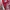 Converse CT Hi DENIM RED 40 photo 2