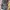 Converse CT Hi Leather LUGGED WINTER BOOT GORETEX 40 photo 3