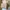 ZARA Luxury Minimalist Shoulder Bag Wanita Tan