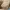 ZARA Luxury Minimalist Shoulder Bag Wanita Tan