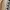 H&M Minimalist Casual Handbag Wanita cream photo 4