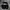 CREWNECK ADIDAS BIG FONT photo 1
