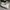 Converse Allstar Hi White photo 3