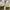 Converse Allstar Hi White photo 8