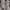 Converse Low CTAS Canvas GREY SUEDE ROSE GOLD 41 photo 1